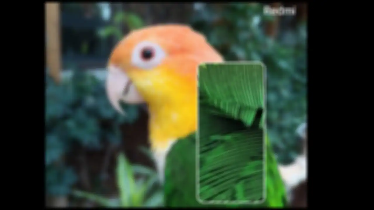 Hasil zoom foto yang dibagikan Redmi