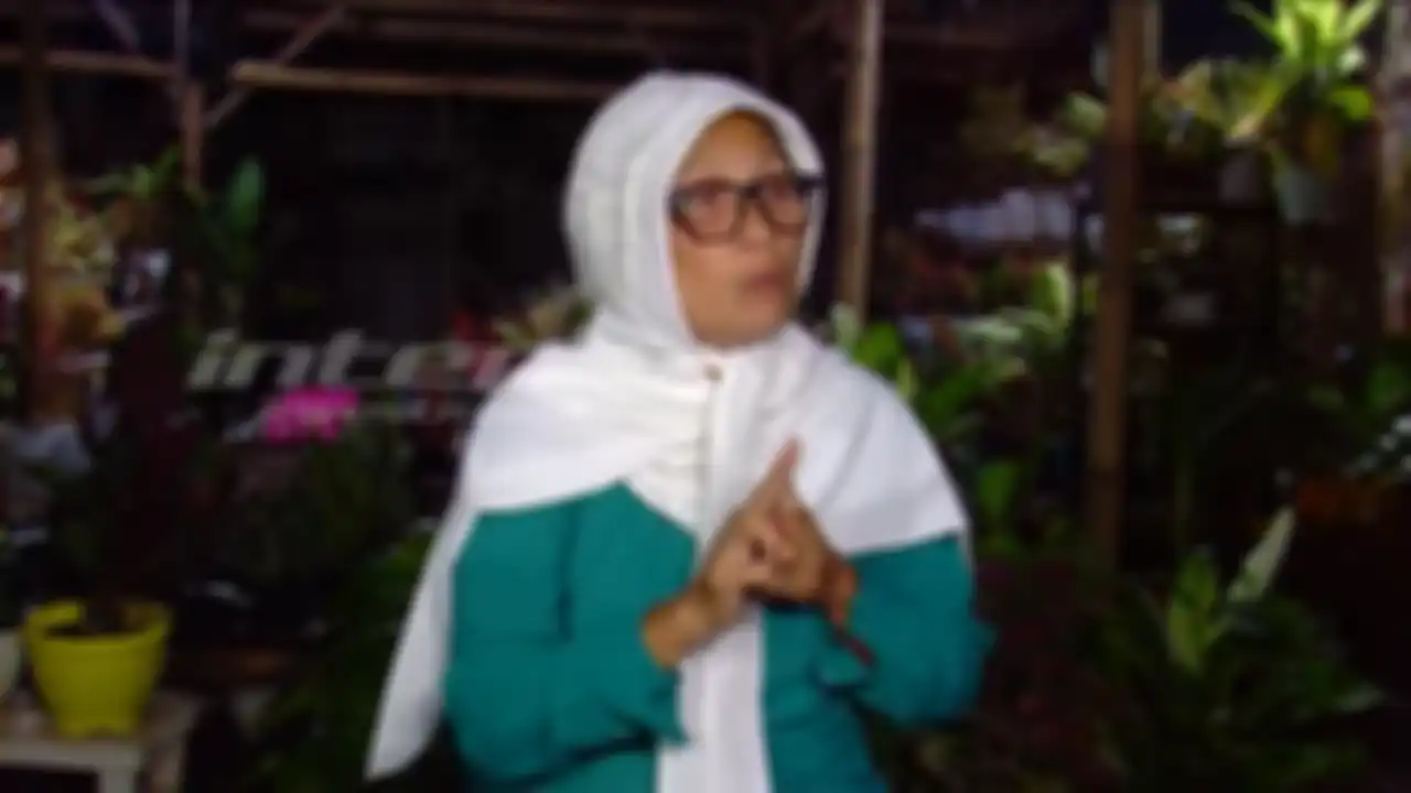 Nursyah