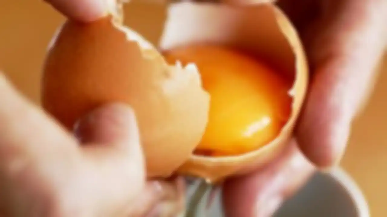Memilih telur dengan kualitas baik.