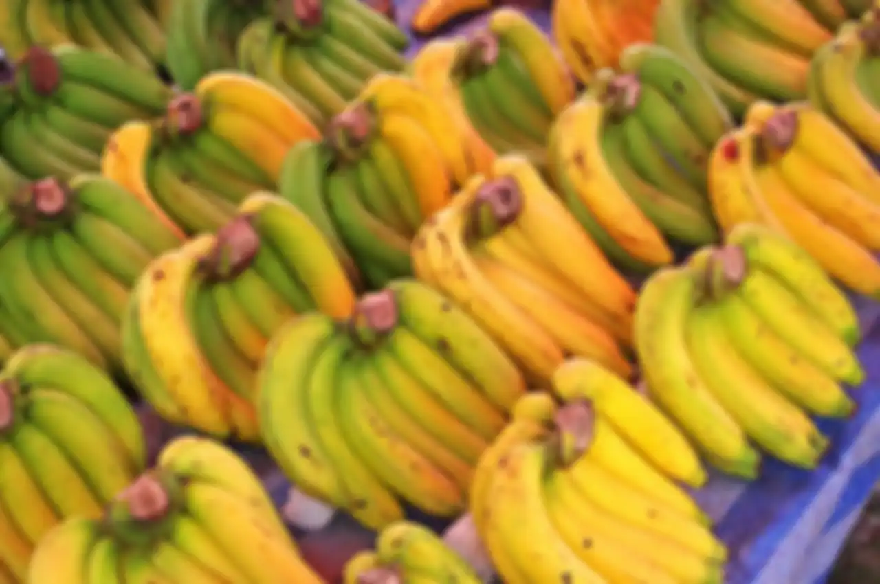 Pisang