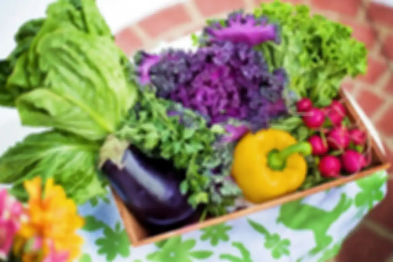 Ilustrasi sayur