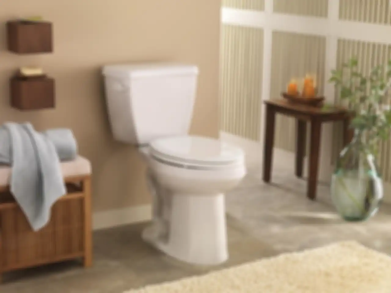 toilet | dok. hgtv.com
