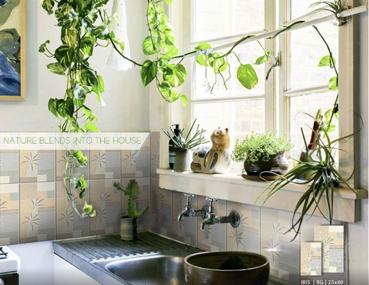 Inilah 5 tanaman yang sengaja dipilih agar aura area masak tak lagi sumpek. Tengok yuk foto dapur sempit ini. 