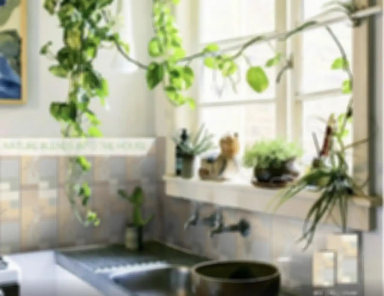 Inilah 5 tanaman yang sengaja dipilih agar aura area masak tak lagi sumpek. Tengok yuk foto dapur sempit ini. 