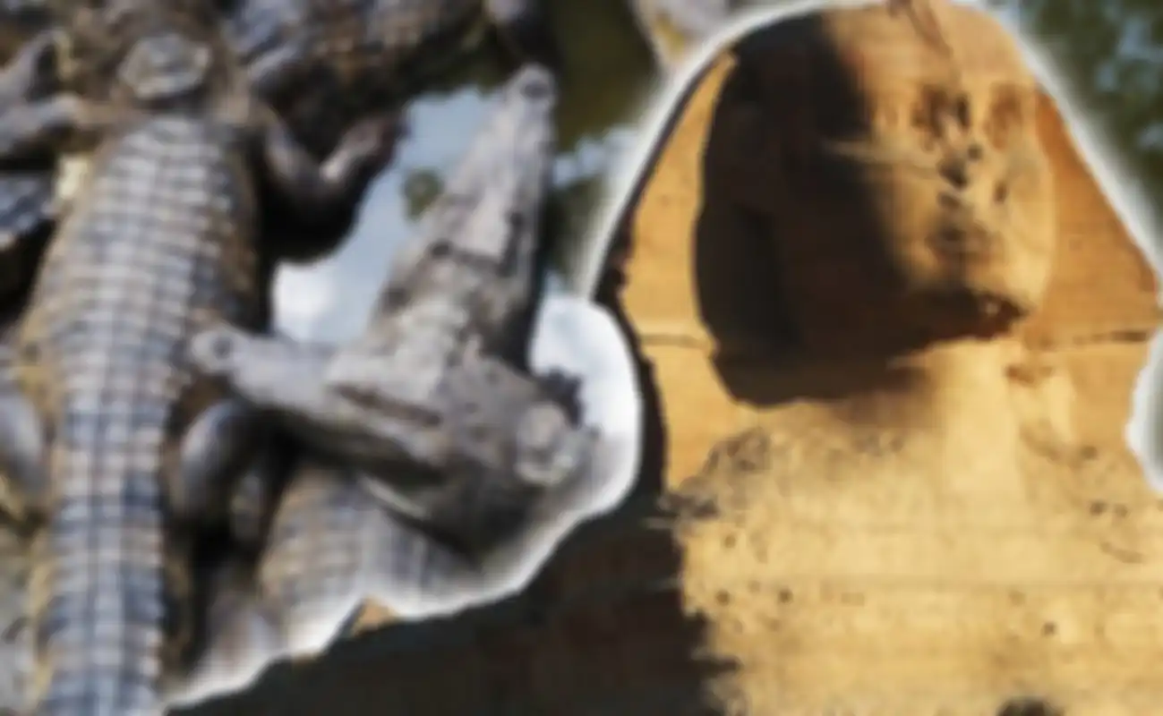 Sphinx dari Mesir Kuno ditemukan.