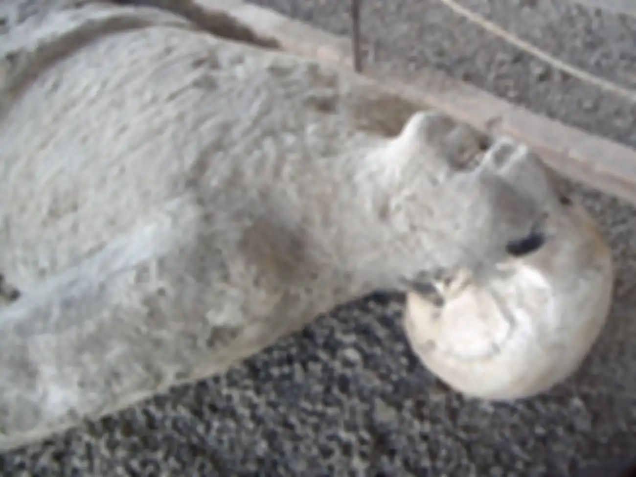 Tragedi Pompeii.
