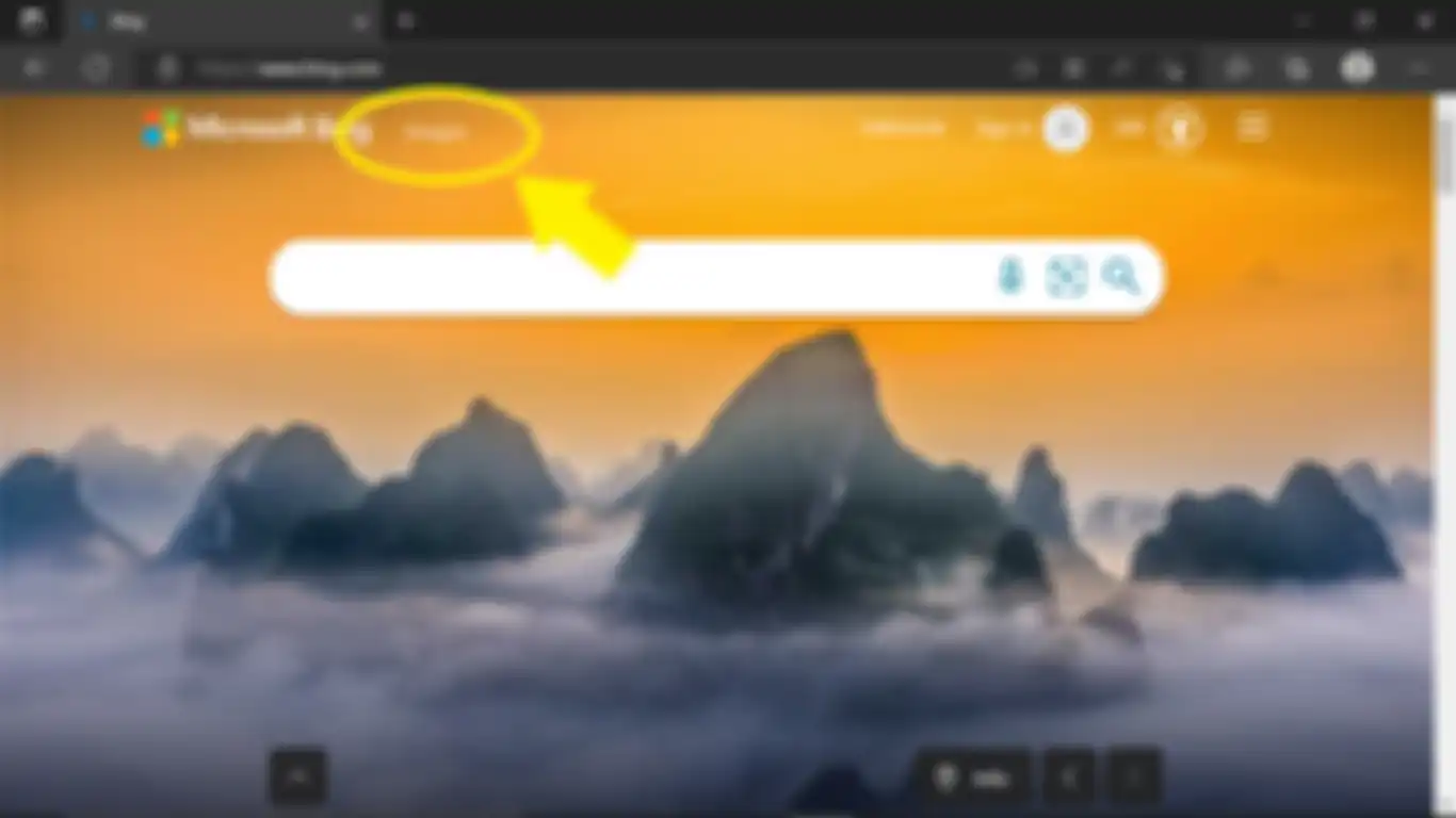 Microsoft Bing Images