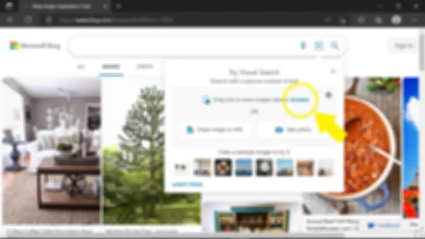 Lokasi browse pada menu Try Visual Search Microsoft Bing 