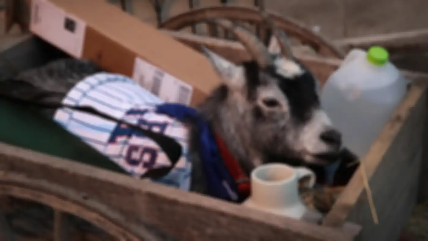 Kutukan kambing Billy