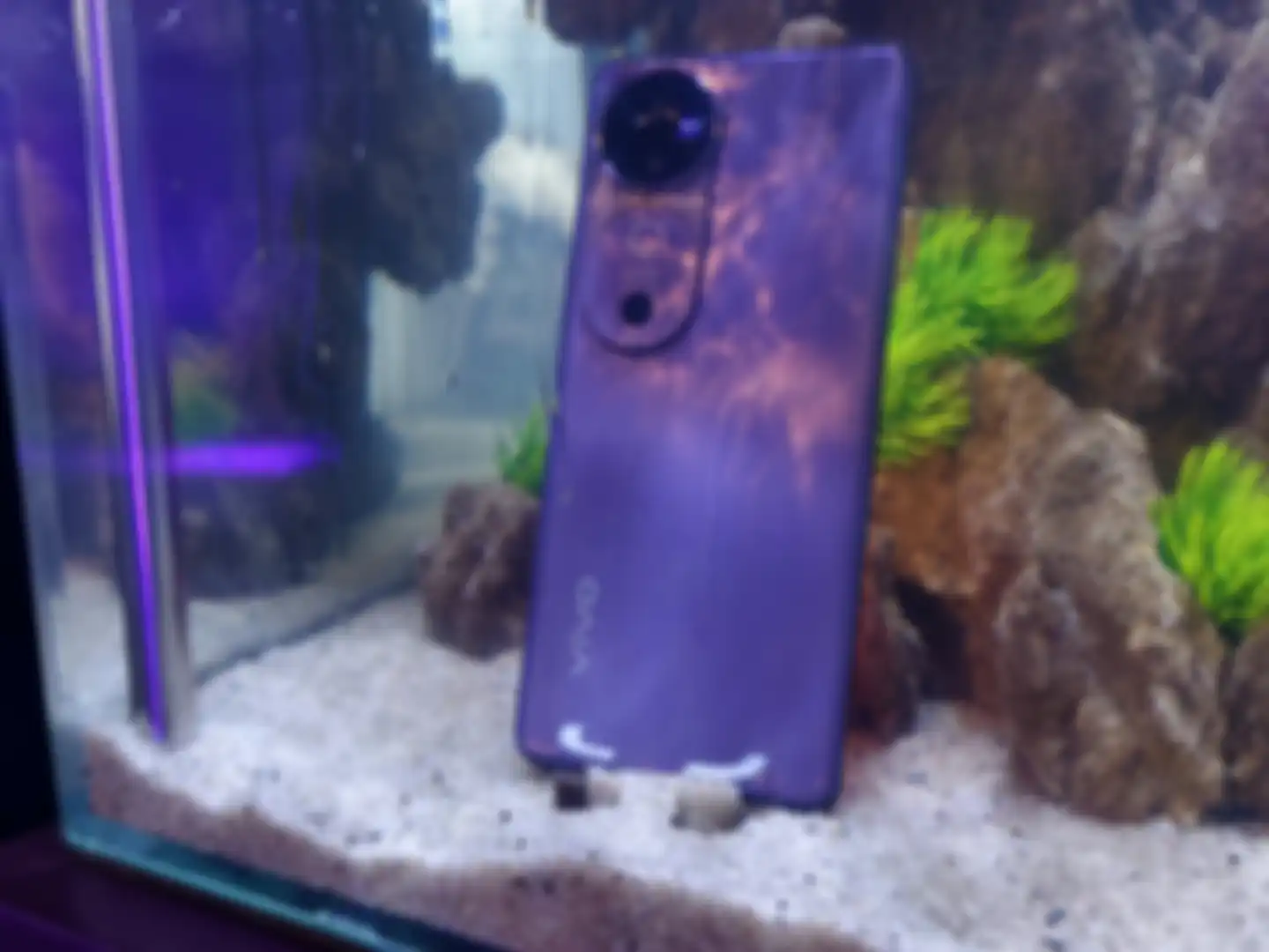vivo V40 5G