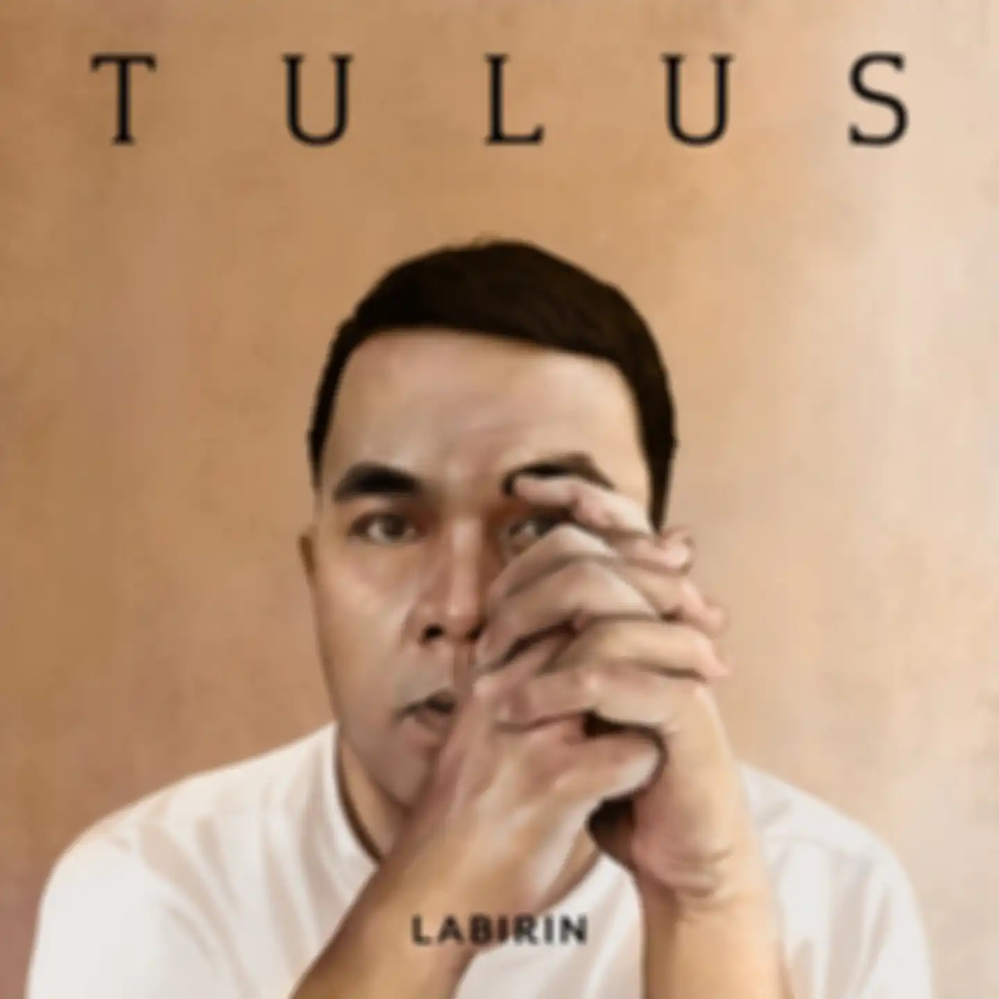 Artwork Tulus - Labirin