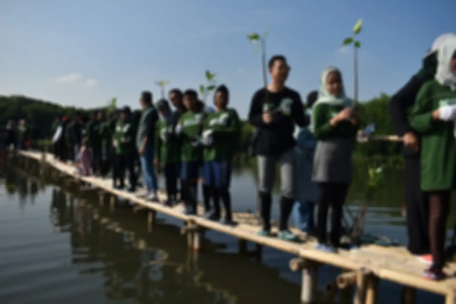 Karyawan dan perwakilan dari PT Epson lndonesia saat berpartisi dalam CSR penanaman 250 bibit mangrove. 