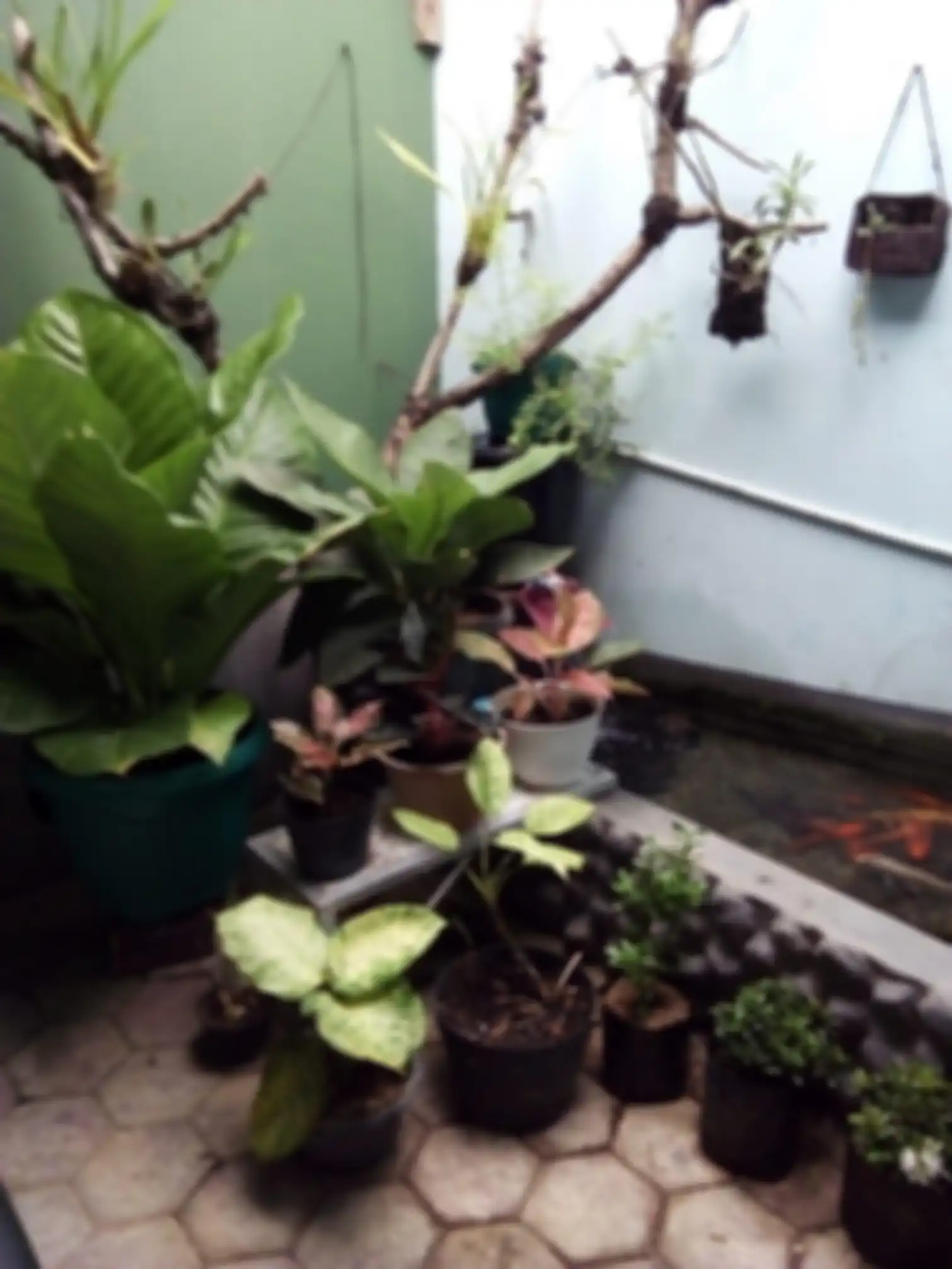 Ilmu feng shui membenahi energi di rumah pakai cara simpel ini agar mendatangkan kemakmuran bagi penghuninya. 