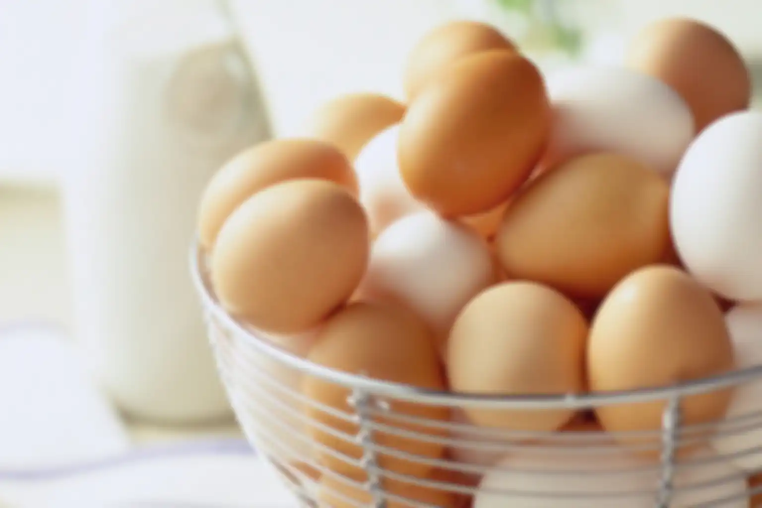 Telur ayam kampung dan ayam negeri