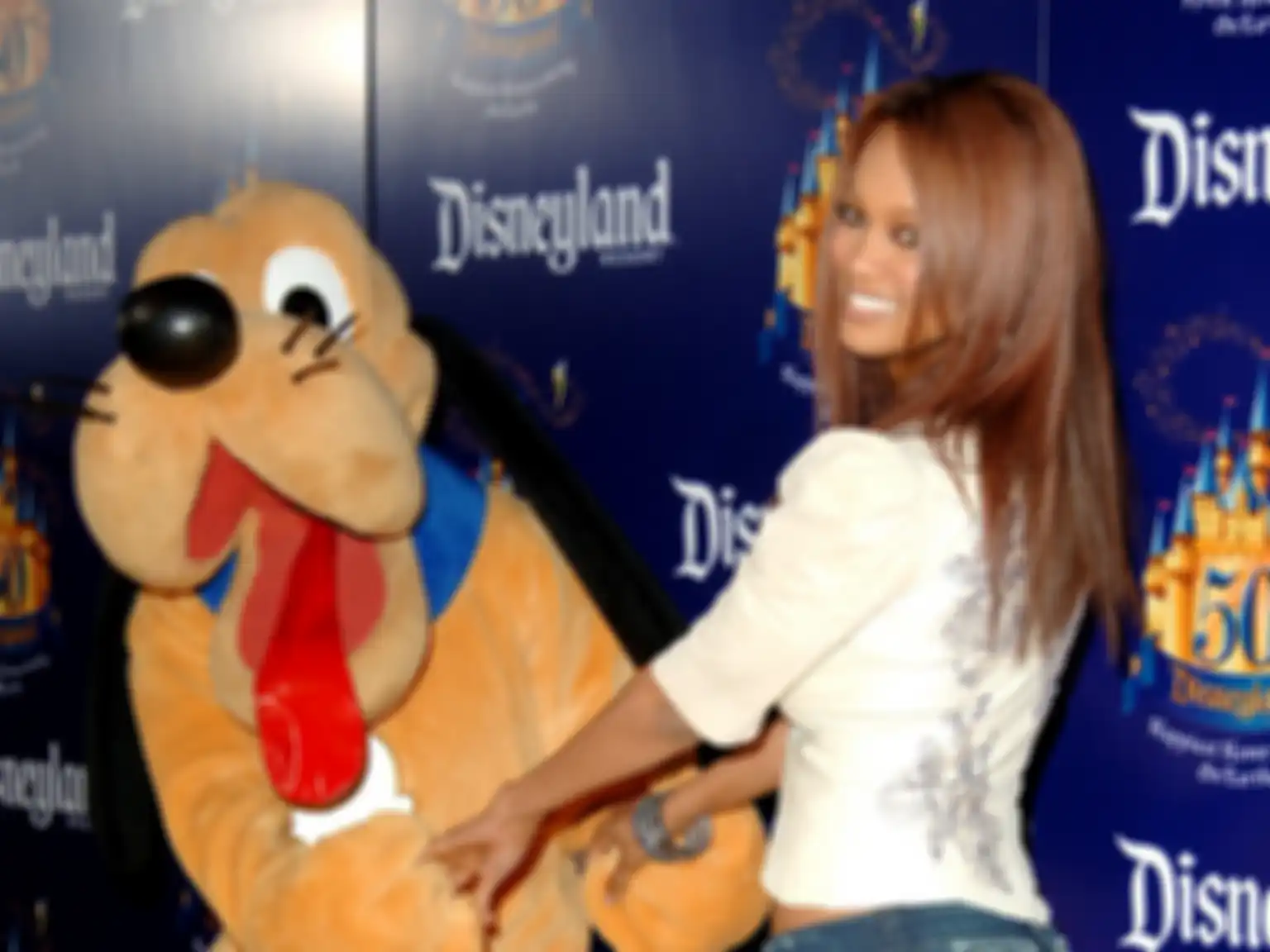 Themed park ini terinspirasi dari Disneyland