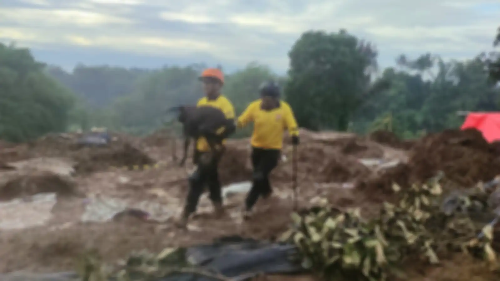 Coco temukan korban di Gempa Cianjur