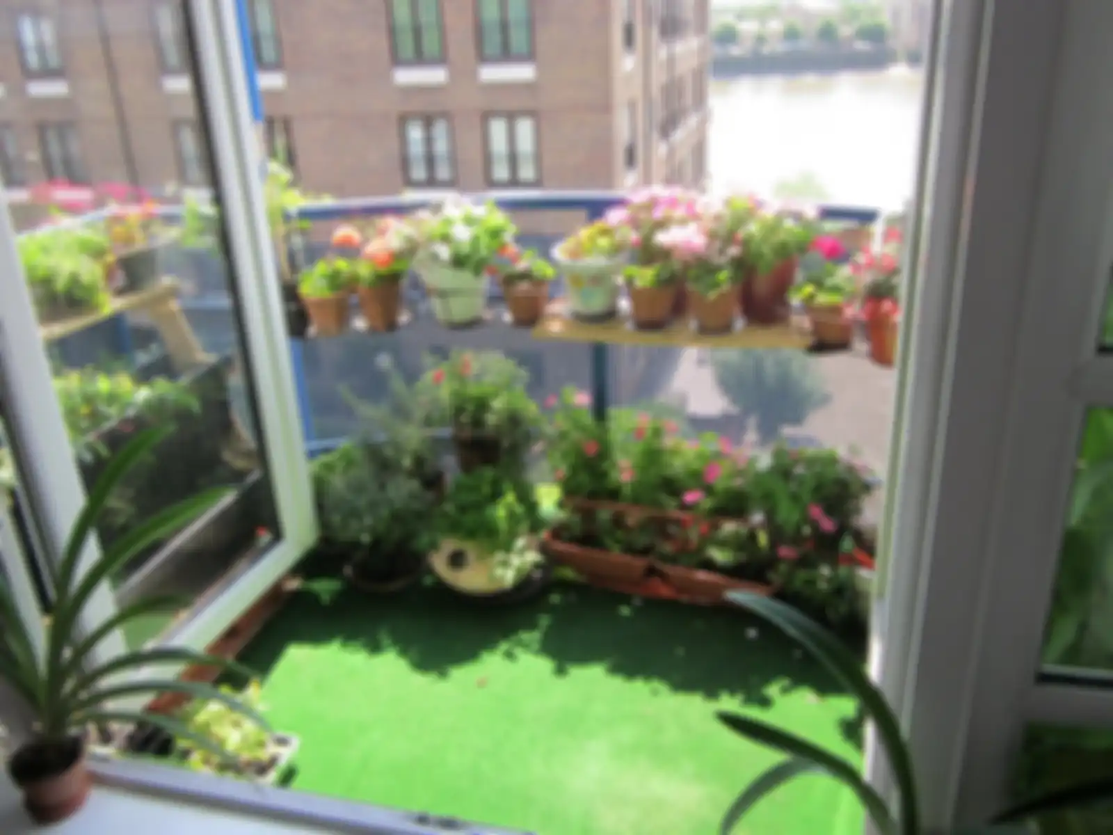 Berkebun di apartemen memberi kesegaran udara lingkungan dan jiwa bagi pemiliknya.