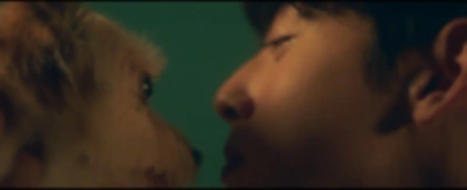 Drama Korea A Good Day to Be a Dog