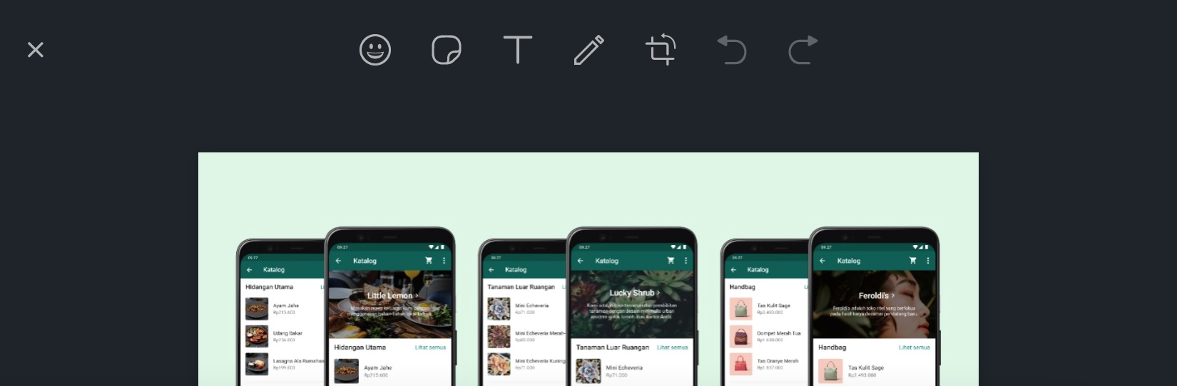 Fitur Editor Media Daring di WhatsApp Web.