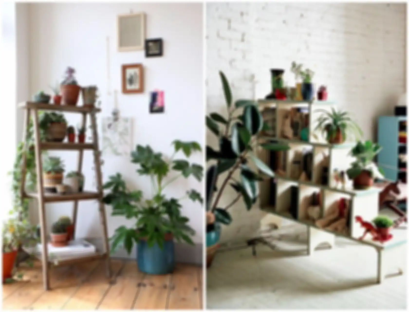 Agar terlihat cantik sesuaikan indoor plant dengan konsep desain ruang.