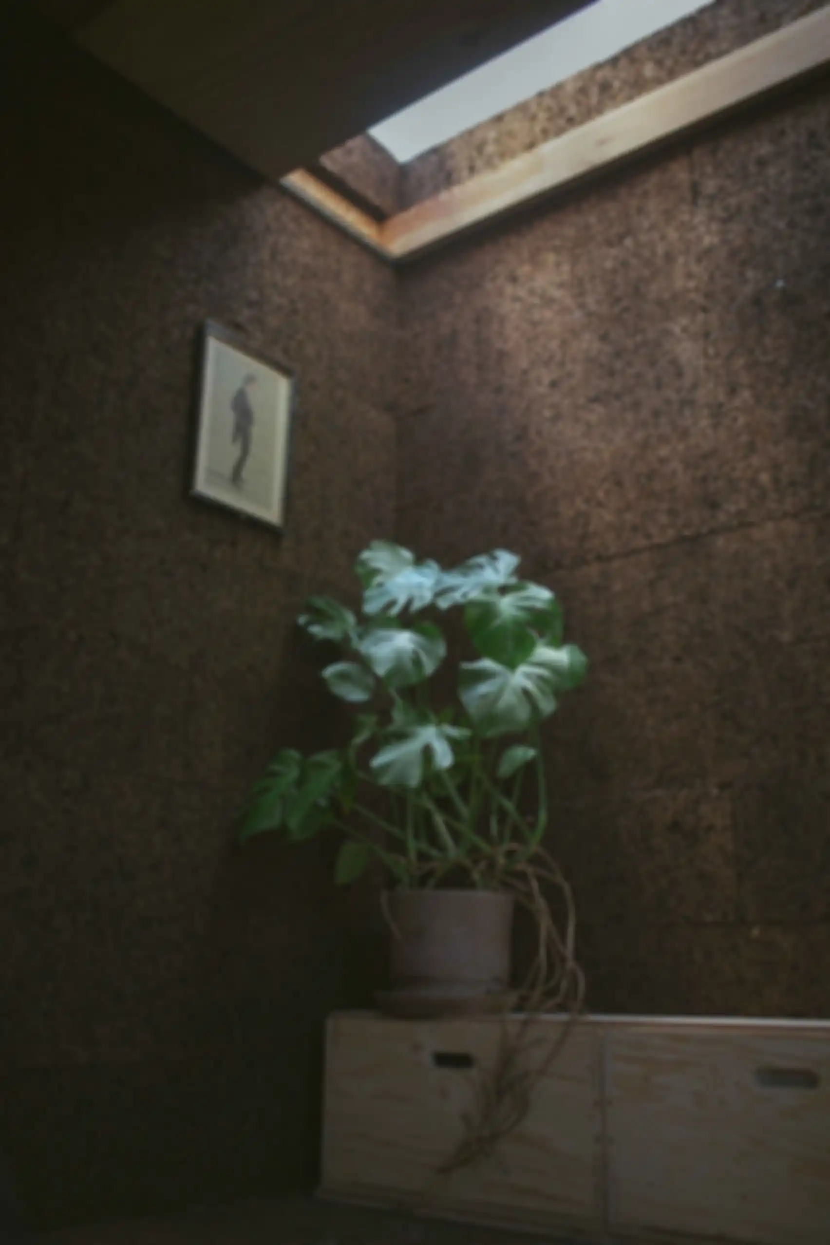 Bangunan dari gabus karya Bark Studio di London