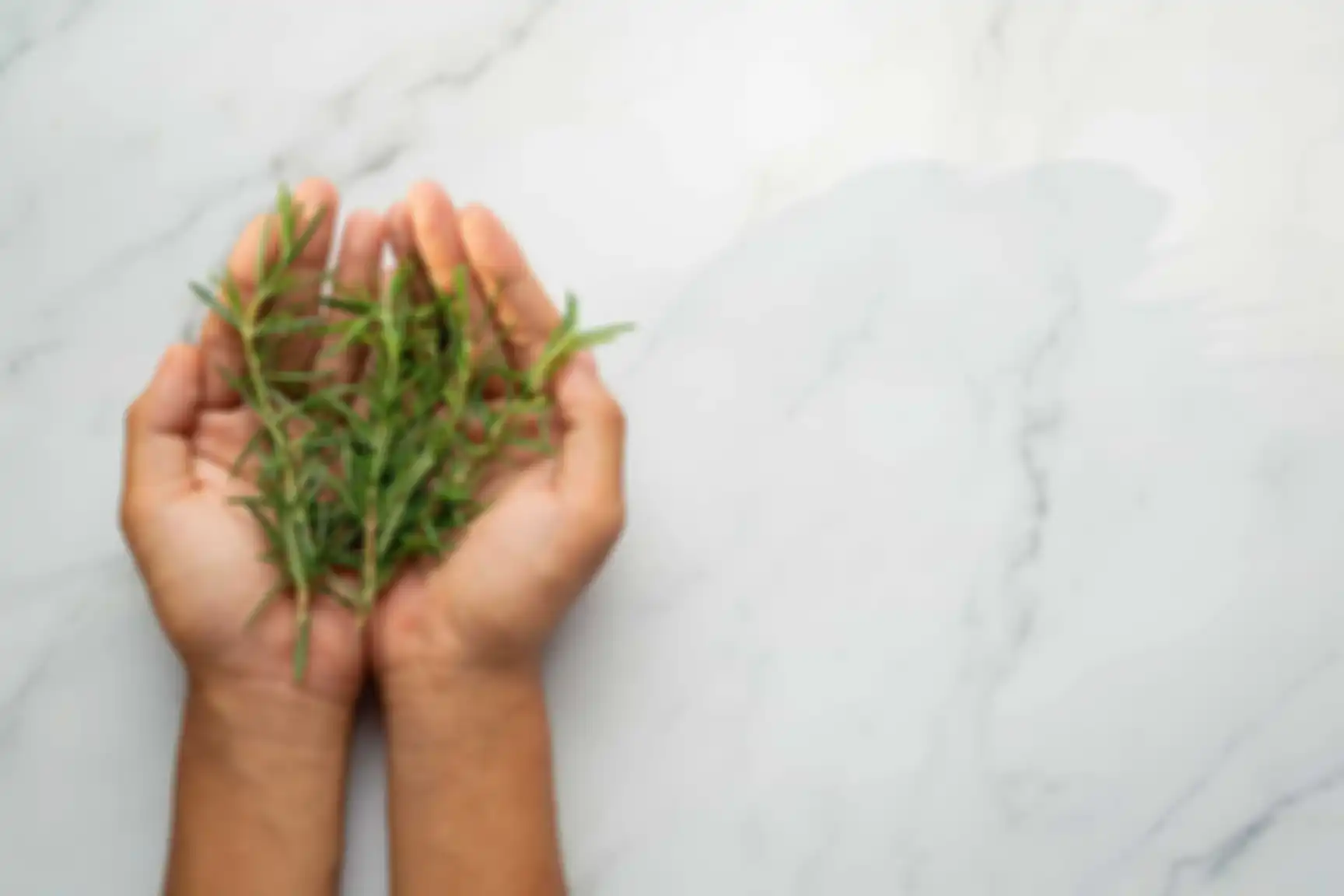 Thyme bisa membantu mengatasi peradangan dalam tubuh.