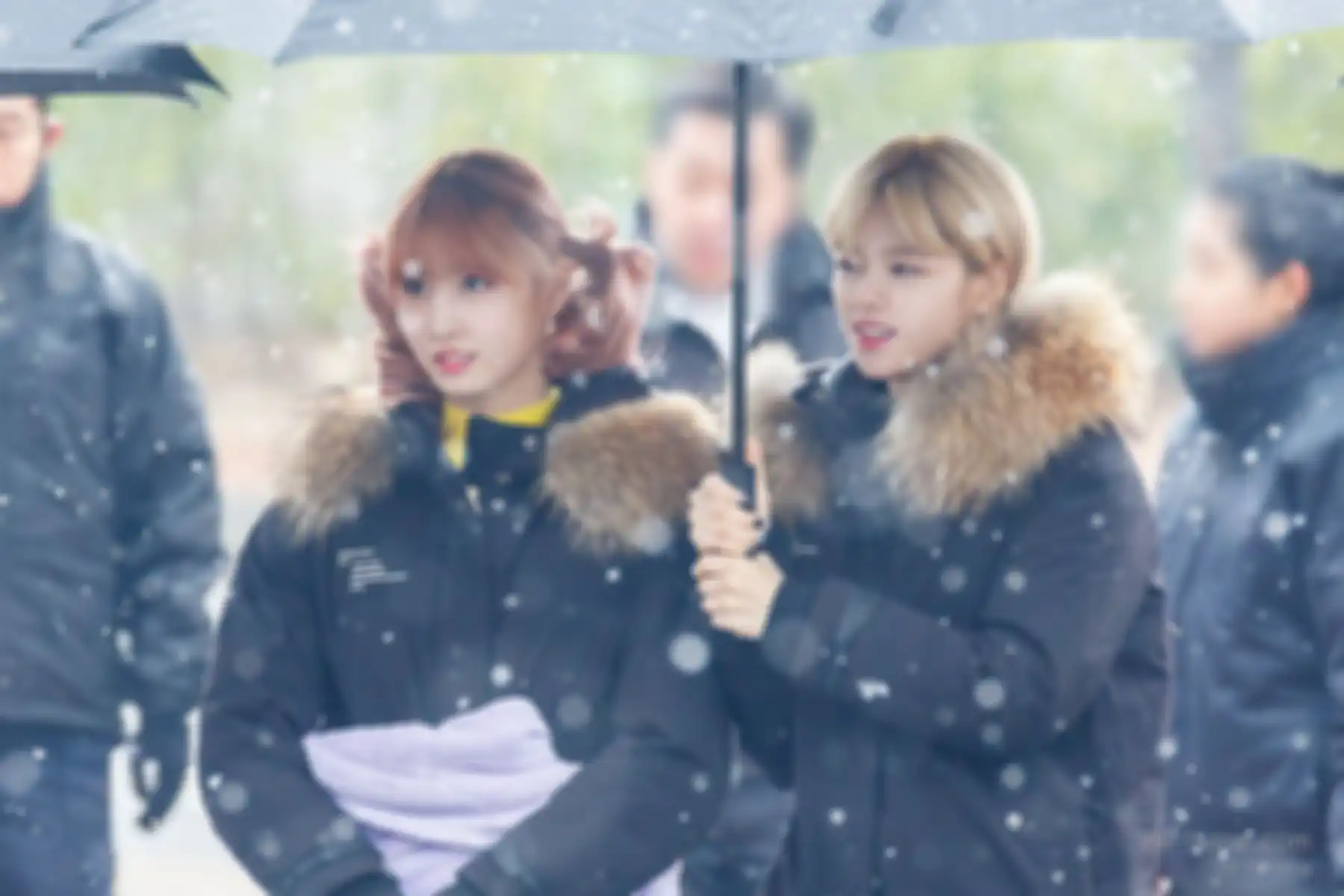 Momo & Jungyeon TWICE