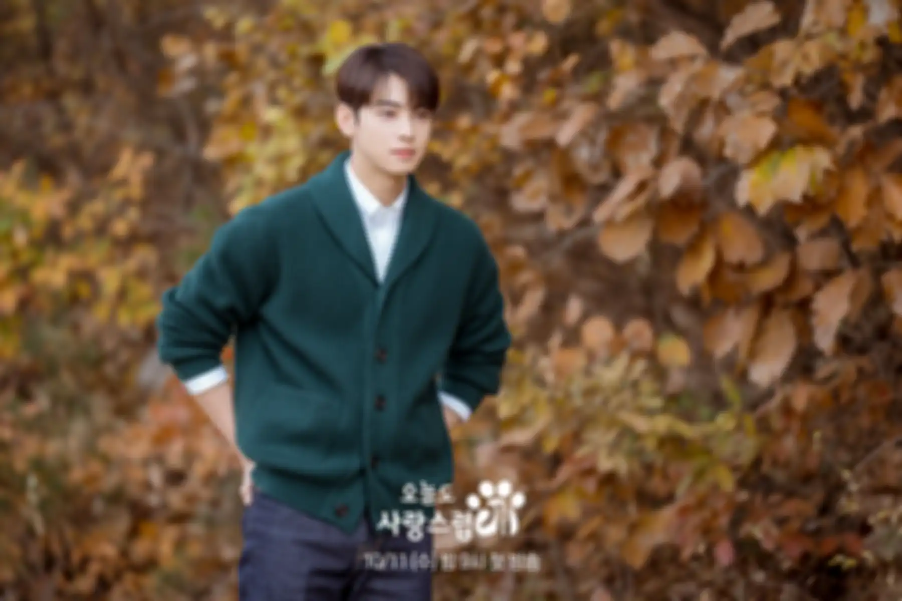Drama Korea A Good Day to Be a Dog