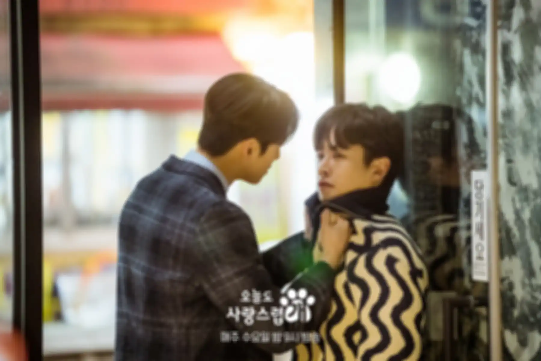 drama Korea A Good Day to Be a Dog