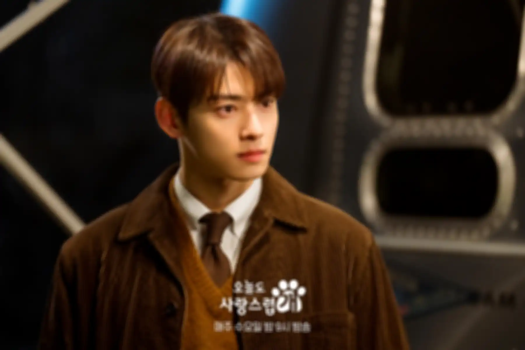 Drama Korea A Good Day To Be A Dog 