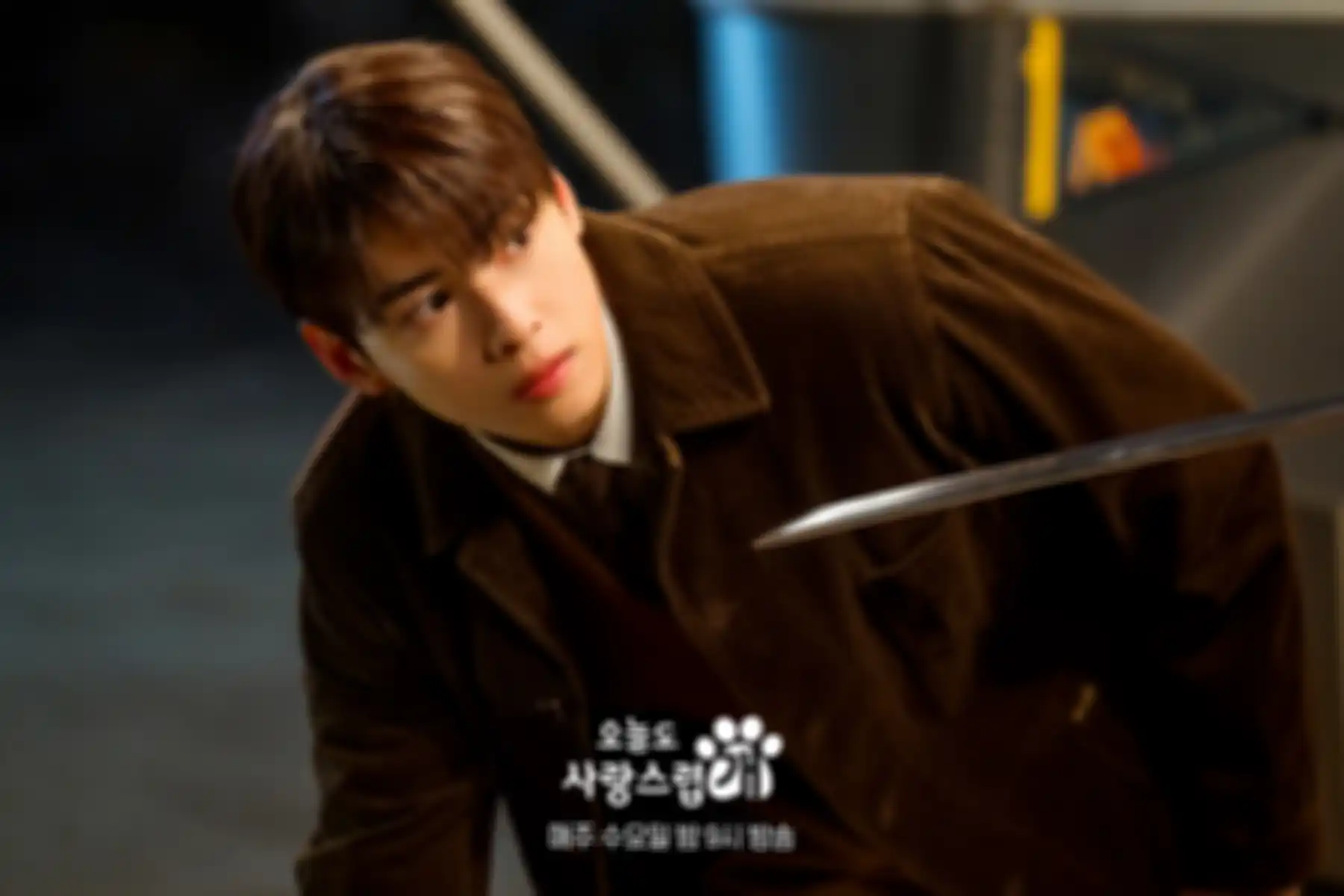 Drama Korea A Good Day To Be A Dog 