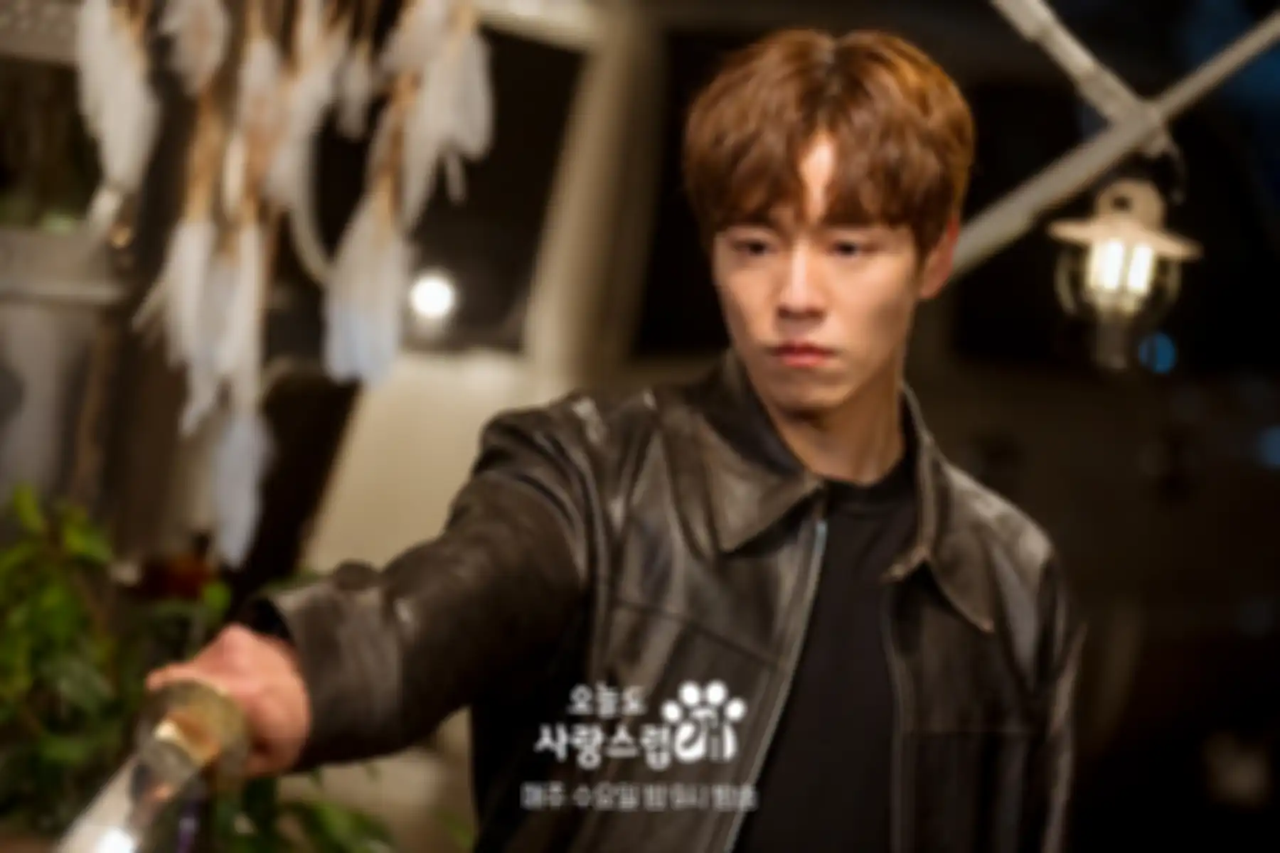 Drama Korea A Good Day To Be A Dog 