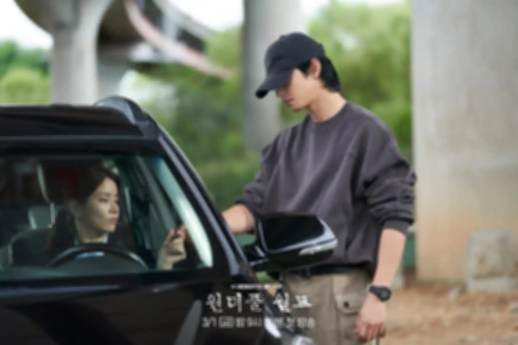 Drama Korea Wonderful World
