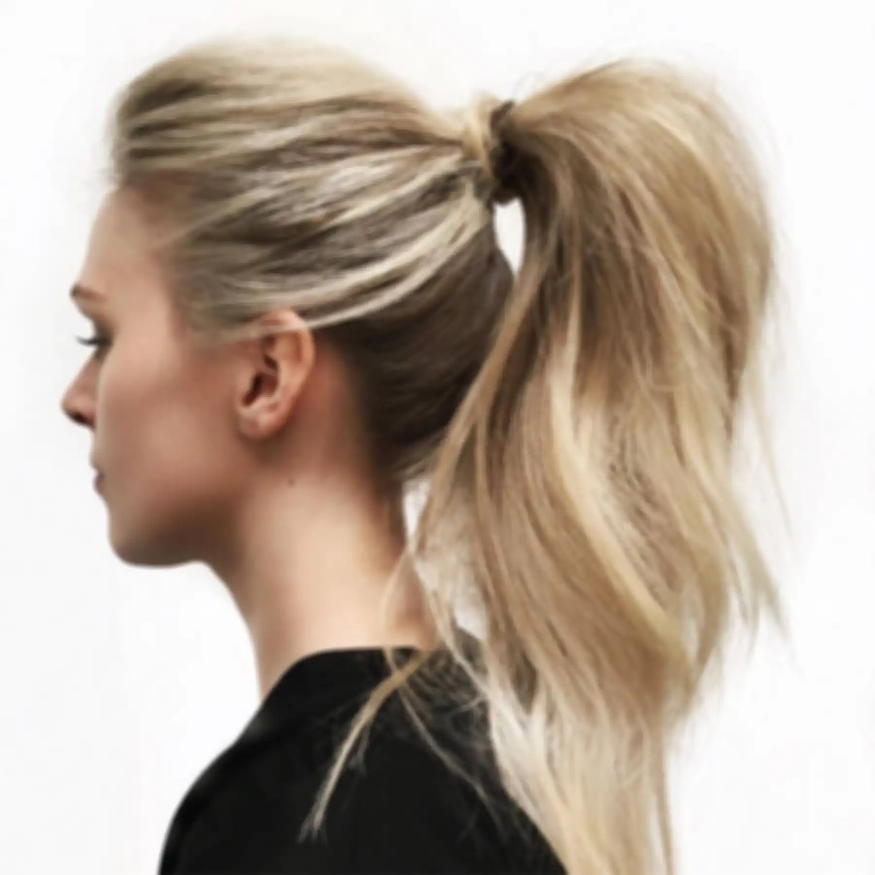 Ponytail hair