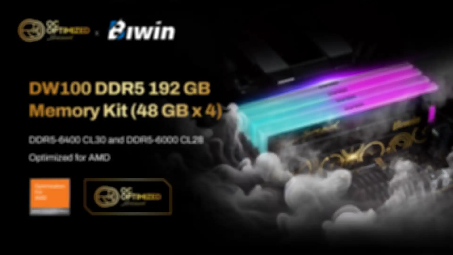 Biwin DW100