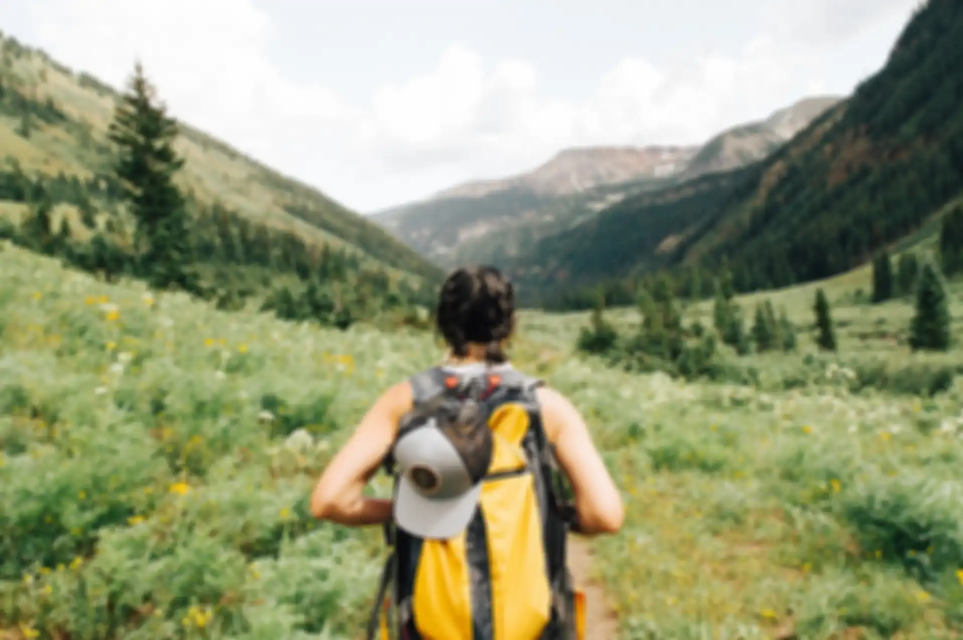 Mendaki dalam bahasa Inggris disebut dengan hiking.