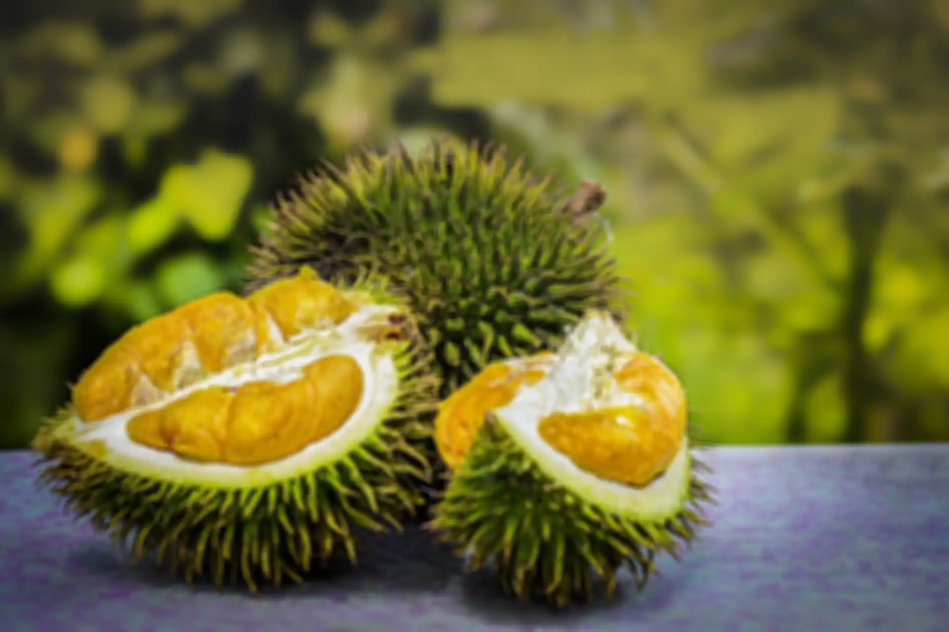 Ilustrasi buah durian