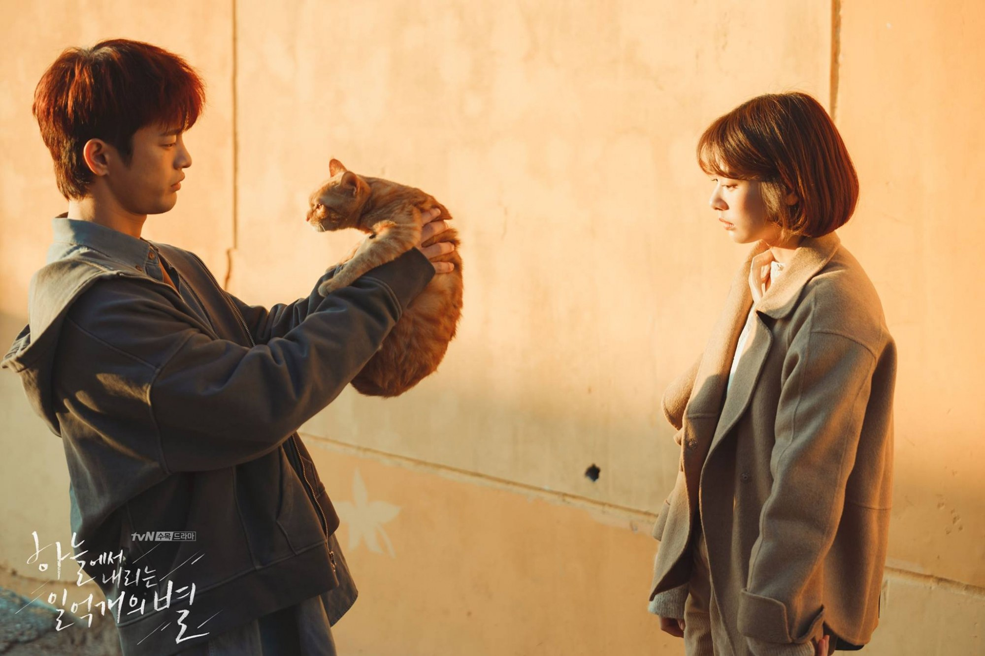 Drama Korea The Smile Has Left Your Eyes