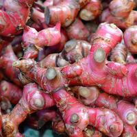 Harga Jahe Merah Tembus Rp100.000/Kg Karena Dampak Corona, Rupanya Khasiatnya pun Tak Main-main dari Perkuat Imunitas Tubuh hingga Jaga Kondisi Jantung