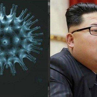 Tak Heran Korut Miliki 0 Kasus Virus Corona, Ternyata Kim Jong Un Sudah Ancam Pejabatnya dengan 'Konsekuensi Serius' Jika Negaranya Terinfeksi