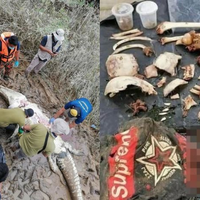 Nyawa Balas Nyawa, Perut Seekor 'Monster' Buaya Dibelah Warga Usai Memangsa Hidup-hidup Bocah 14 Tahun yang Cari Siput di Sungai