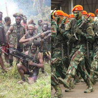 150 Anggota KKB Papua Bersatu, Benarkah Takut Diburu Kopassus?
