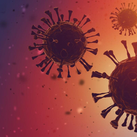 Beruntung Banget Bagi Anda yang Belum Pernah Sekalipun Terinfeksi Covid-19 Sejak Awal, Ilmuwan Sebut 4 Hal Ini yang Membuat Anda Belum Pernah Terinfeksi Virus Corona