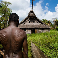 Lambangkan Kejantanan dari Roh Buaya, Inilah Tradisi Pemotongan Kulit Suku Kaningara di Papua Nugini, Inisiasi dari Remaja Jadi Laki-laki Dewasa, Ritual Mahal Lambangkan Pengeluaran Darah Kelahiran