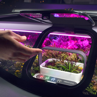 Dari Ada Tanaman Bonsai Sampai Mikrolet, Berikut 7 Mobil Dengan Konsep ‘Gila’ Di Masa Depan