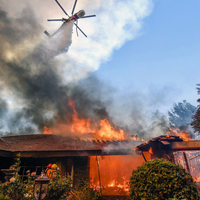 Sedikitnya 10 Orang Tewas dan Ribuan Dievakuasi Akibat Kebakaran Hutan Hebat di California