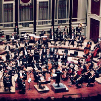 Orkestra Kehidupan yang Harmonis