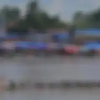 Sejarah Pacu Jalur, Perlombaan Perahu Masyarakat Melayu Teluk Kuantan Riau yang Syarat Nilai Luhur