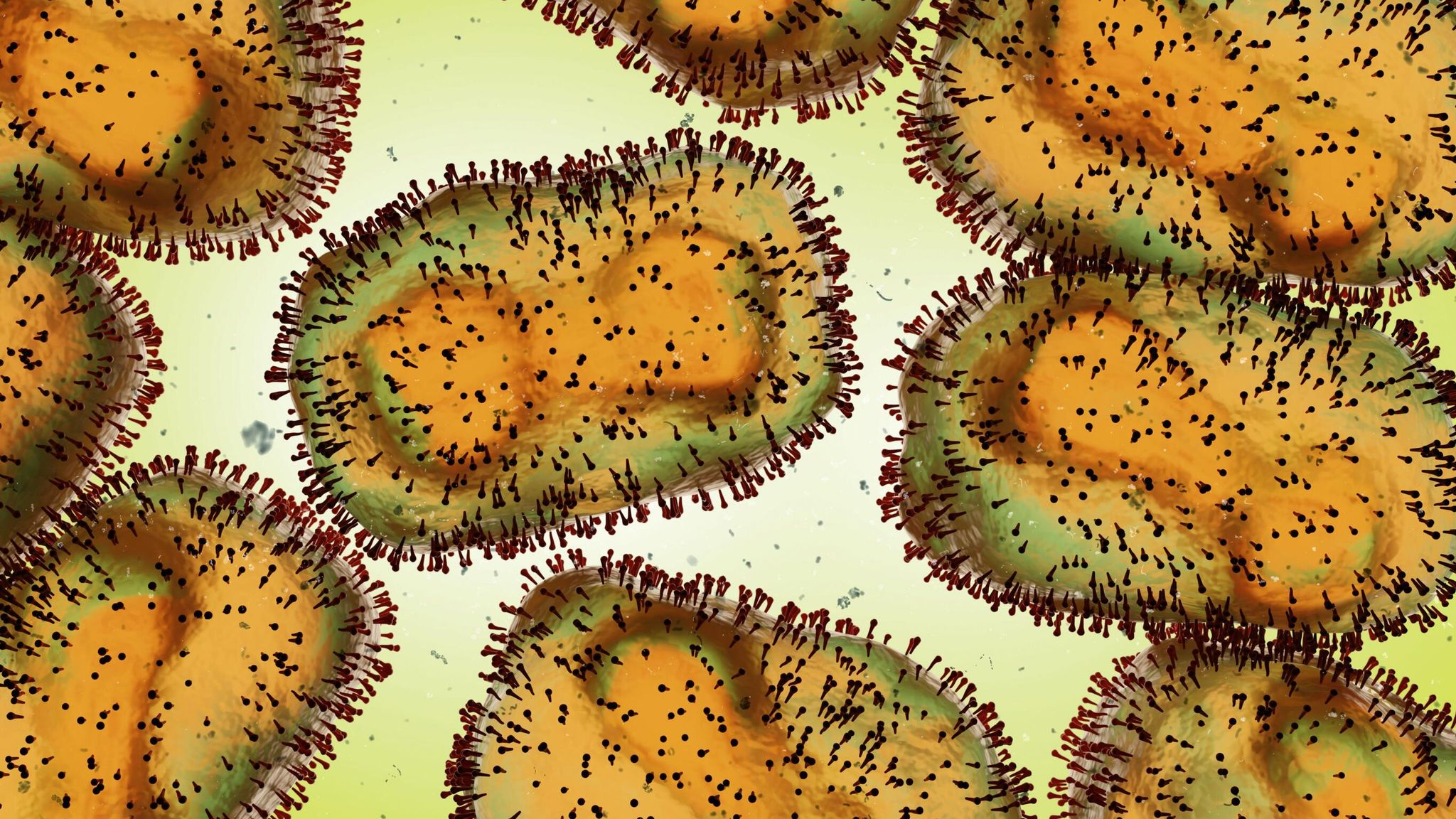 ilustrasi monkeypox virus