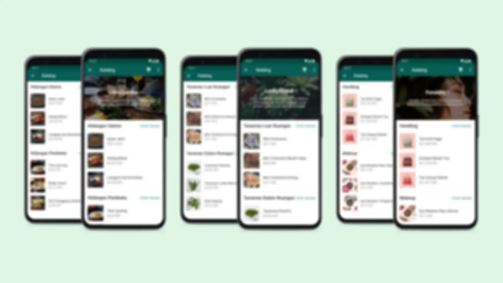 Tampilan fitur Koleksi di WhatsApp Business.